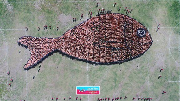 "Milas 1.Uluslararsı Balık Festivali ve Çocuk Oyunları Şenliği"nin 6.Gününde En Kalabalık Balık Figürü Oluşturmada Guinness Dünya Rekoru kırılarak sona erdi.